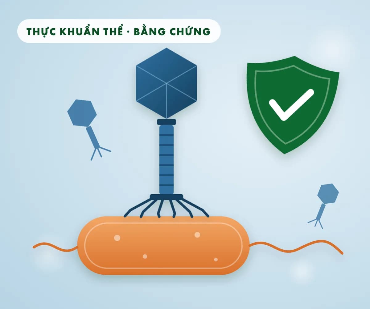 Thực khuẩn thể bảo vệ tôm, cá: bằng chứng từ thí nghiệm và vì sao chưa ra được ao nuôi