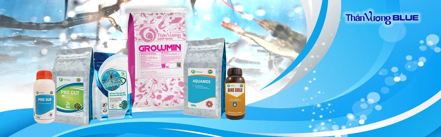 Than Vuong Blue line visual for Gut & Digestive Support