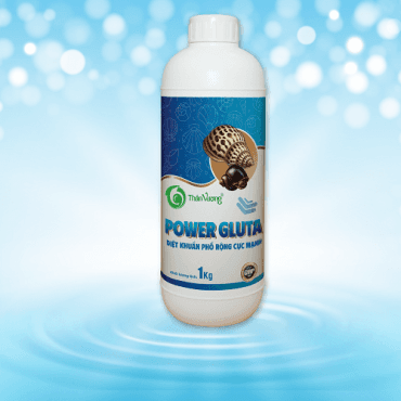 POWER GLUTA