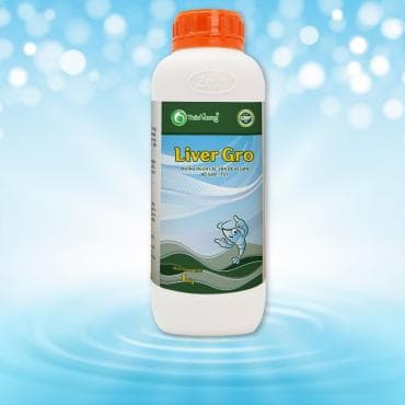 LIVER GRO