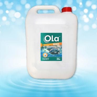 OLA RODO