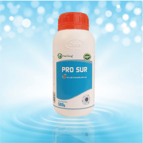PRO SUR