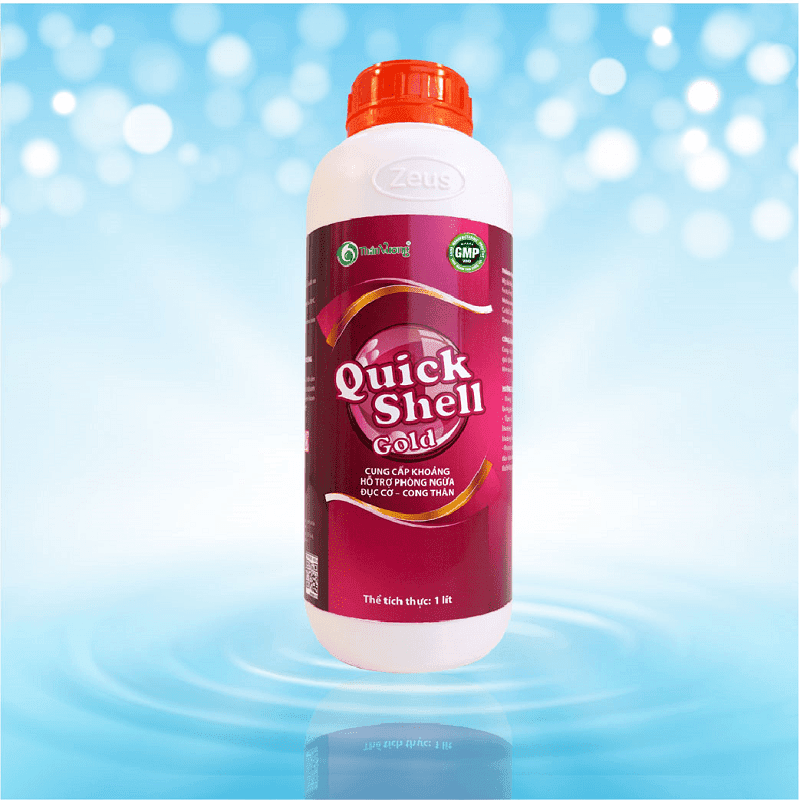 QUICKSHELL GOLD