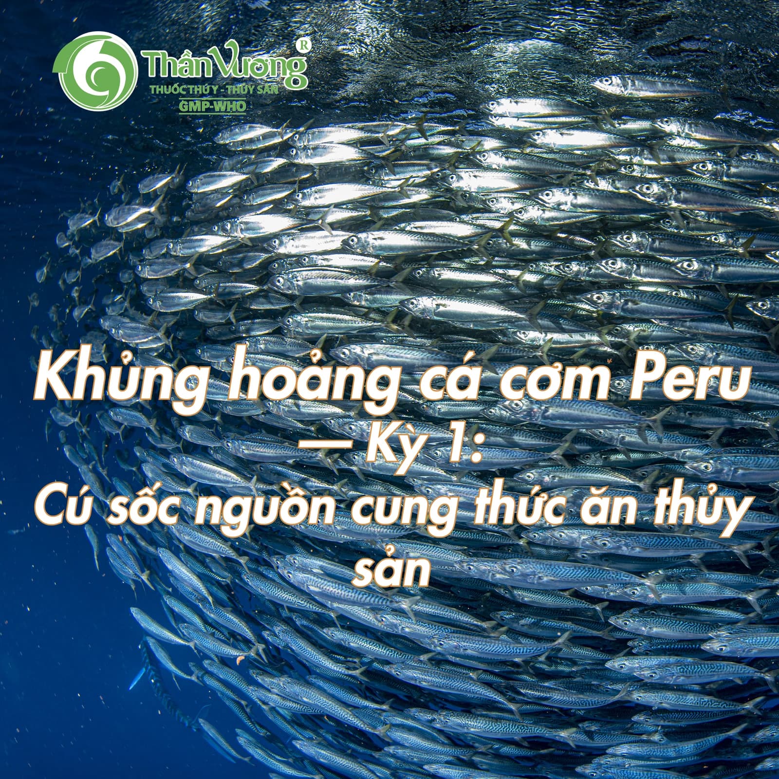 Khủng hoảng cá cơm Peru — Kỳ 1: Cú sốc nguồn cung thức ăn thủy sản
