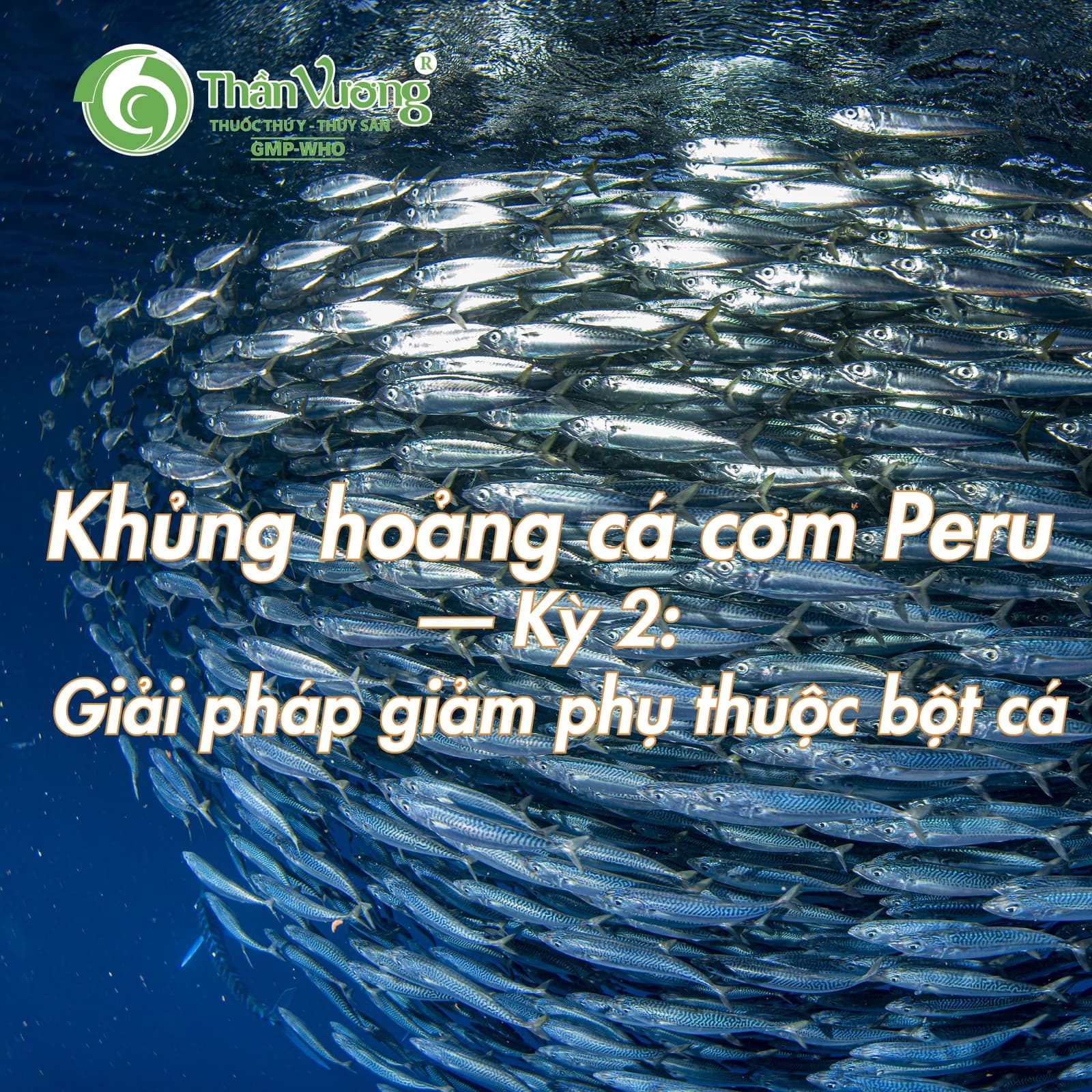 Khủng hoảng cá cơm Peru — Kỳ 2: Giải pháp giảm phụ thuộc bột cá