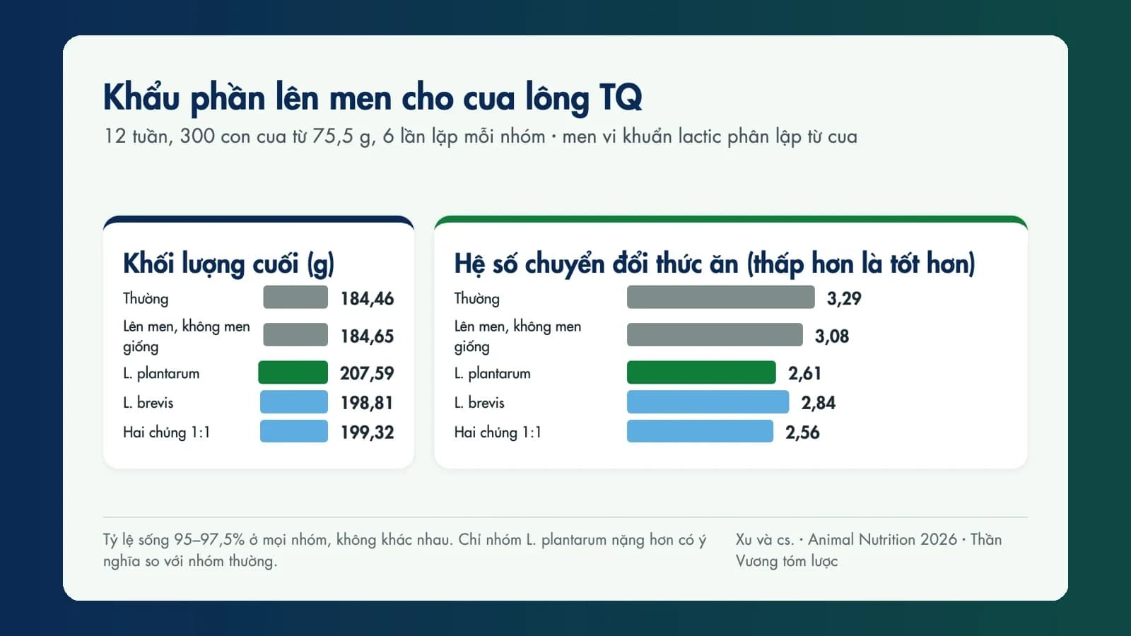 Khẩu phần lên men bằng vi khuẩn lactic phân lập từ cua: cua lớn nhanh hơn, dùng thức ăn hiệu quả hơn sau 12 tuần