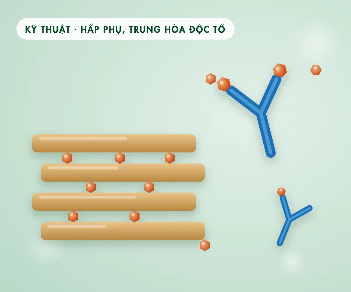 Hấp phụ và trung hòa độc tố Vibrio gây EMS, TPD: khoáng sét, kháng thể trộn thức ăn, chất giảm độc lực — bằng chứng tới đâu?