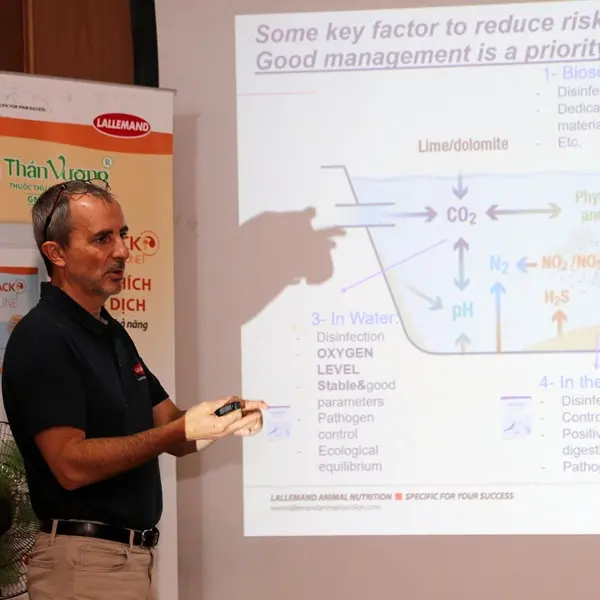 Giảm Thiểu Rủi Ro Nằm Ở Tư Duy Quản Trị Hệ Thống