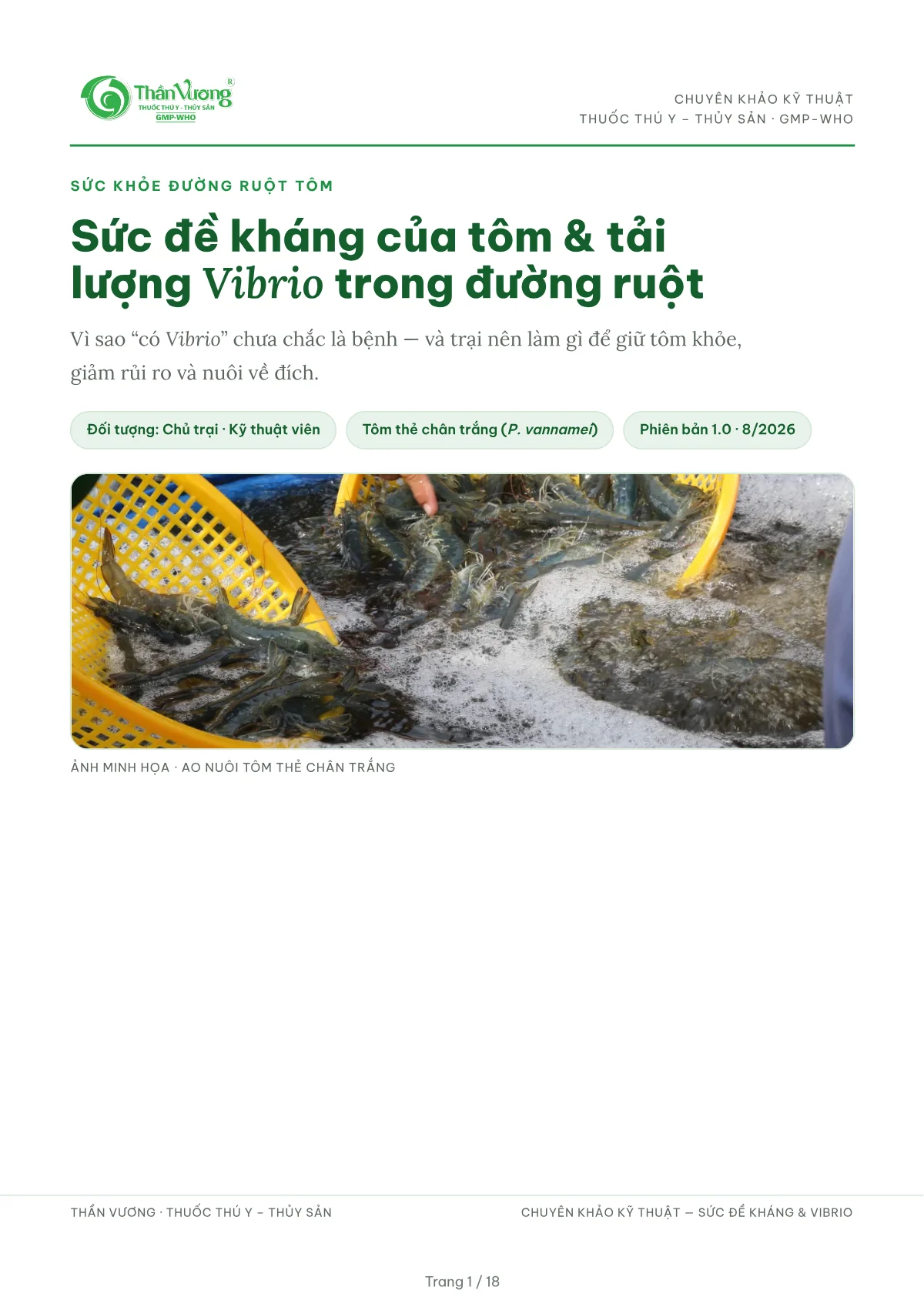 Sức đề kháng của tôm & tải lượng Vibrio trong đường ruột