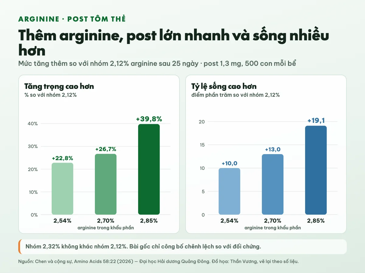 Biểu đồ mức tăng thêm so với nhóm 2,12% arginine sau 25 ngày: tăng trọng cao hơn 22,8% ở 2,54%, 26,7% ở 2,70% và 39,8% ở 2,85%; tỷ lệ sống cao hơn 10, 13 và 19,1 điểm phần trăm