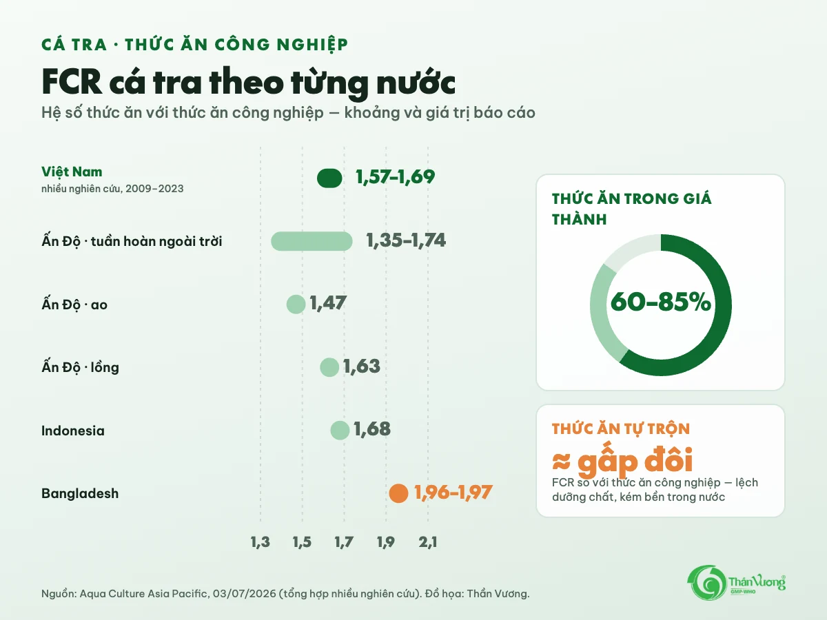 Biểu đồ FCR cá tra với thức ăn công nghiệp: Việt Nam 1,57 đến 1,69; Ấn Độ tuần hoàn ngoài trời 1,35 đến 1,74, ao 1,47, lồng 1,63; Indonesia 1,68; Bangladesh 1,96 đến 1,97; thức ăn chiếm 60 đến 85 phần trăm giá thành; thức ăn tự trộn cho FCR gần gấp đôi