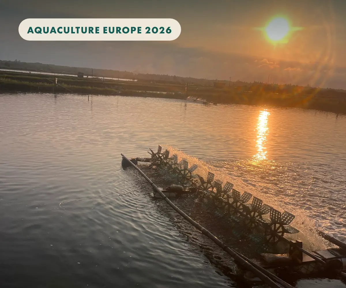 Aquaculture Europe 2026: ao nuôi bền vững chưa chắc chịu nổi biến đổi khí hậu