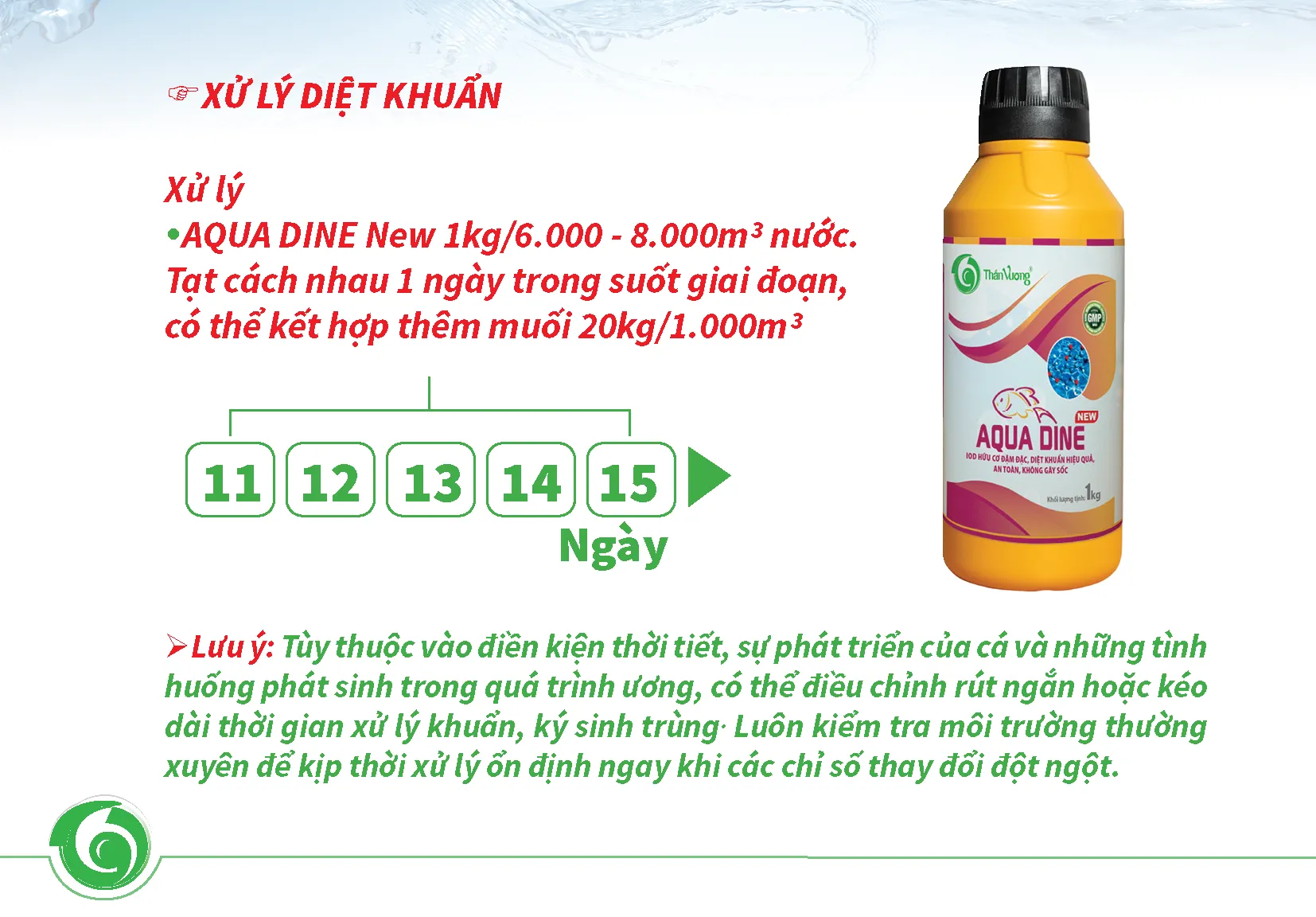 PANGASIUS FRY REARING PROCESS FOR THE FIRST 15 DAYS FOR HIGH SURVIVAL RATE6