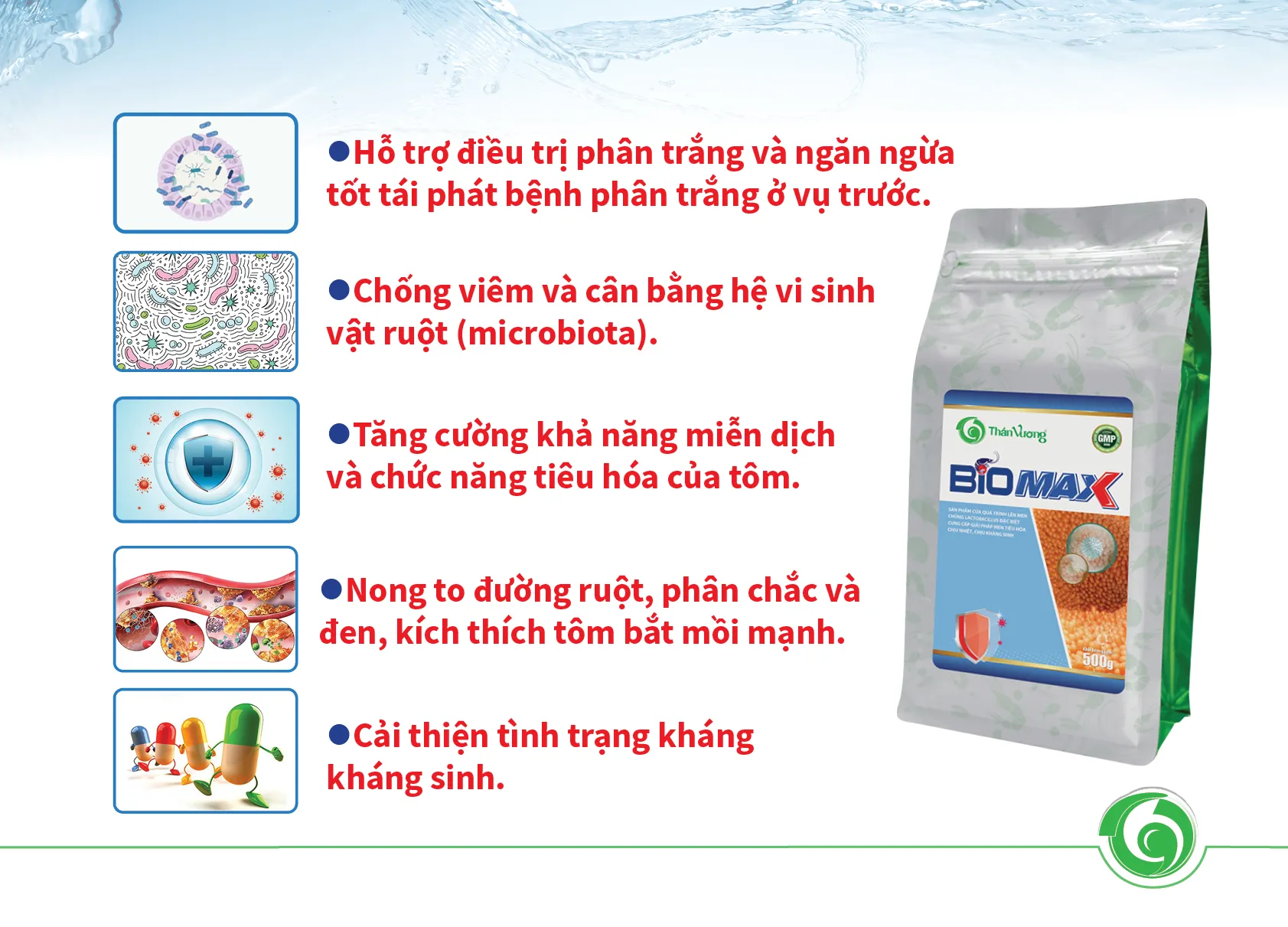 SOILMAX_-_PRO_GUT