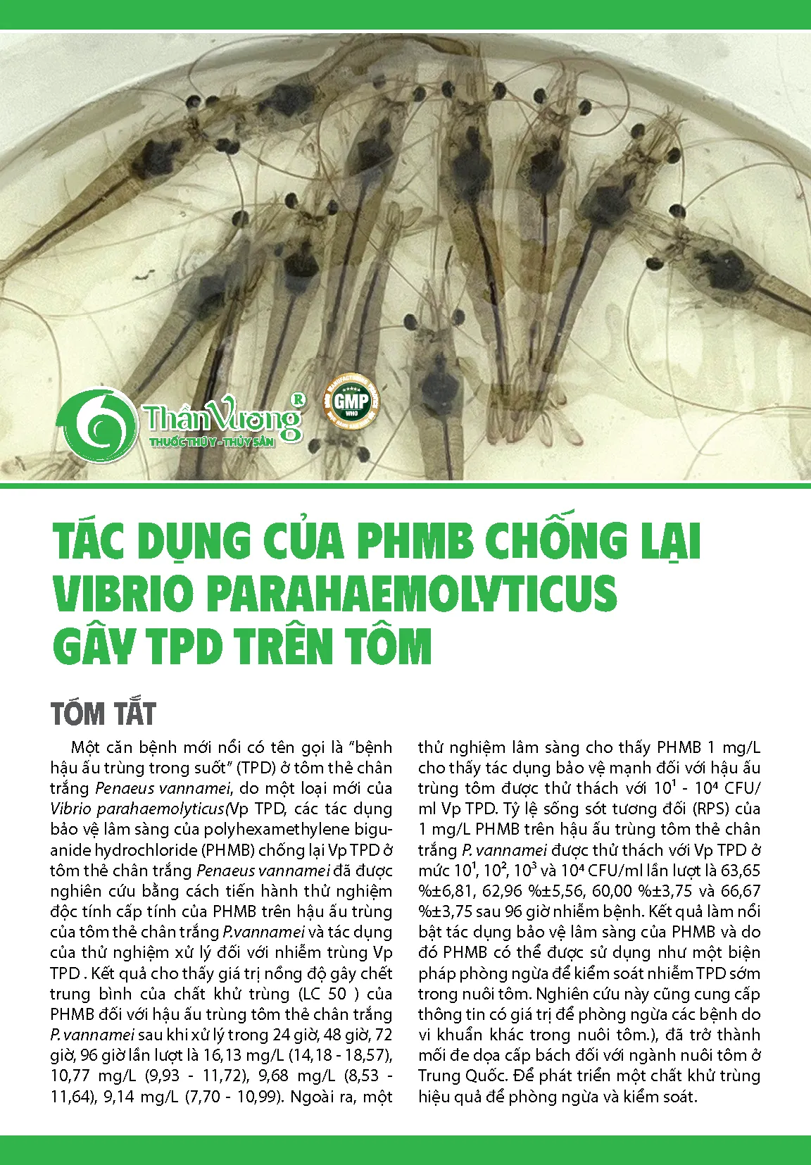 Tac_dYng_cYa_PHMB_chYng_lYi_Vibrio_parahaemolyticus_gay_TPD_tren_tom_1