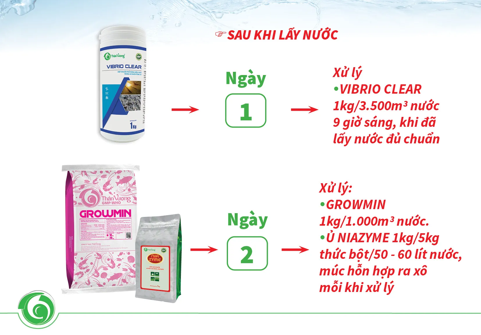PANGASIUS FRY REARING PROCESS FOR THE FIRST 15 DAYS FOR HIGH SURVIVAL RATE_UPDATED4