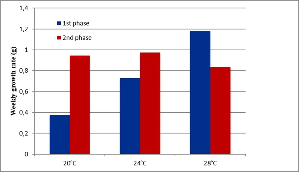 chart_3