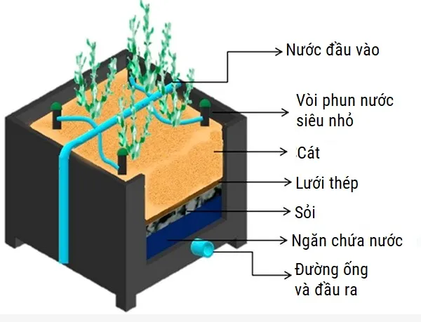 Sneei