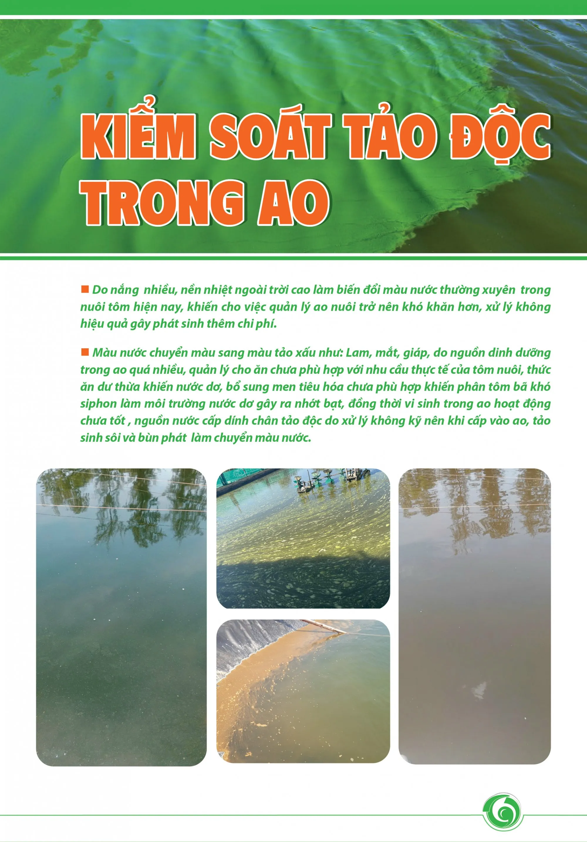 KIYM_SOAT_TYO_YYC_TRONG_AO_new