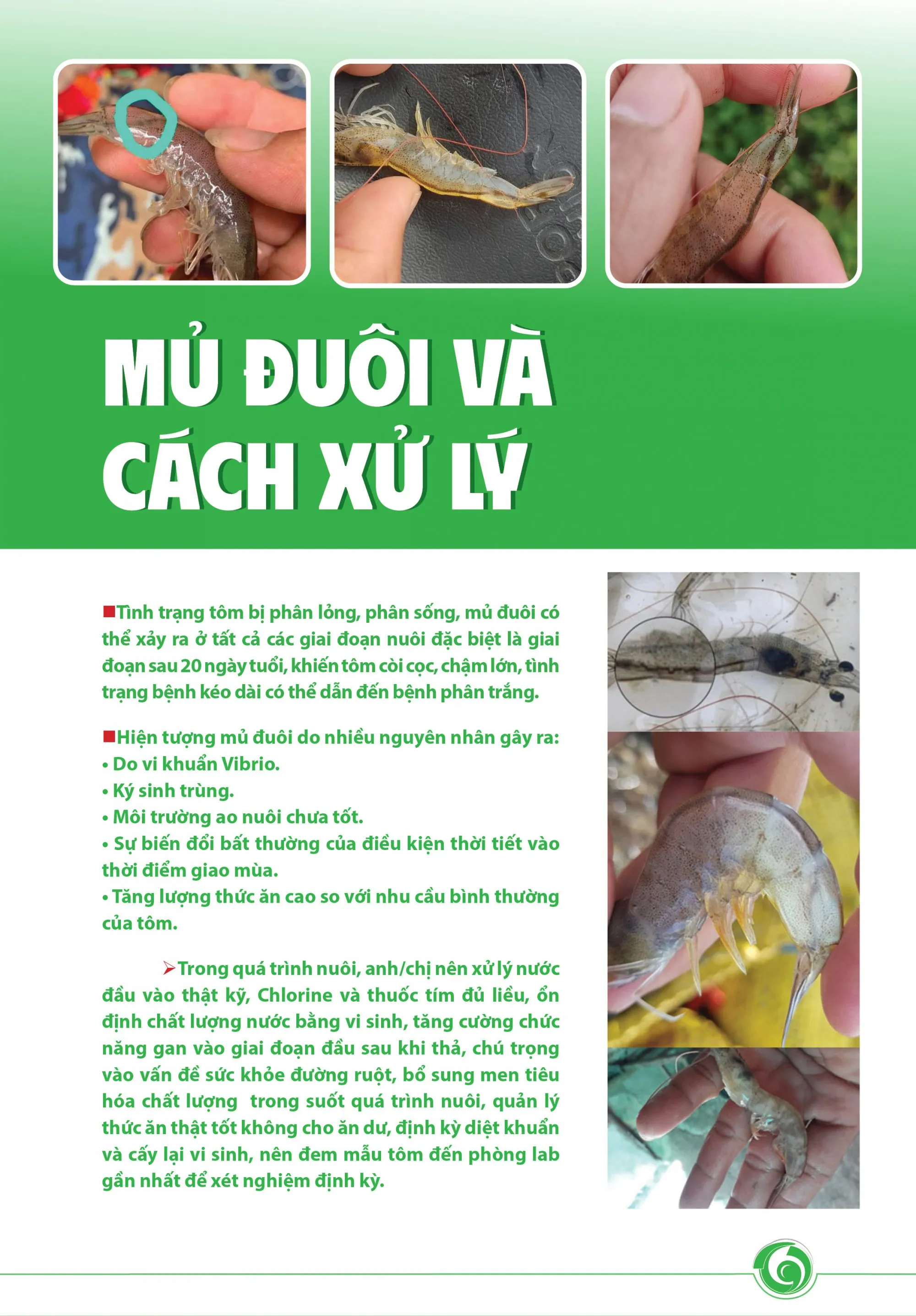 MY_YUOI_VA_CACH_XY_LY