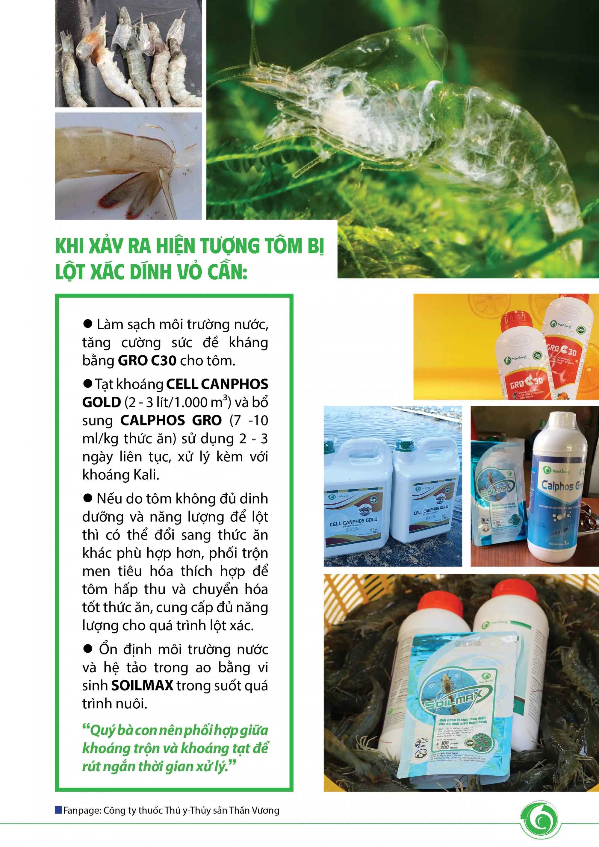 TOM_LYT_DINH_VY_VA_CACH_XY_LY3