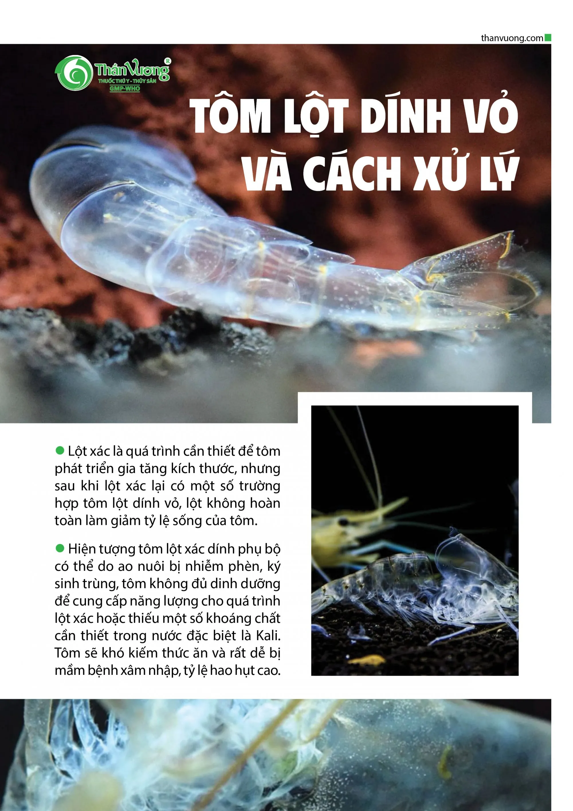 TOM_LYT_DINH_VY_VA_CACH_XY_LY_1