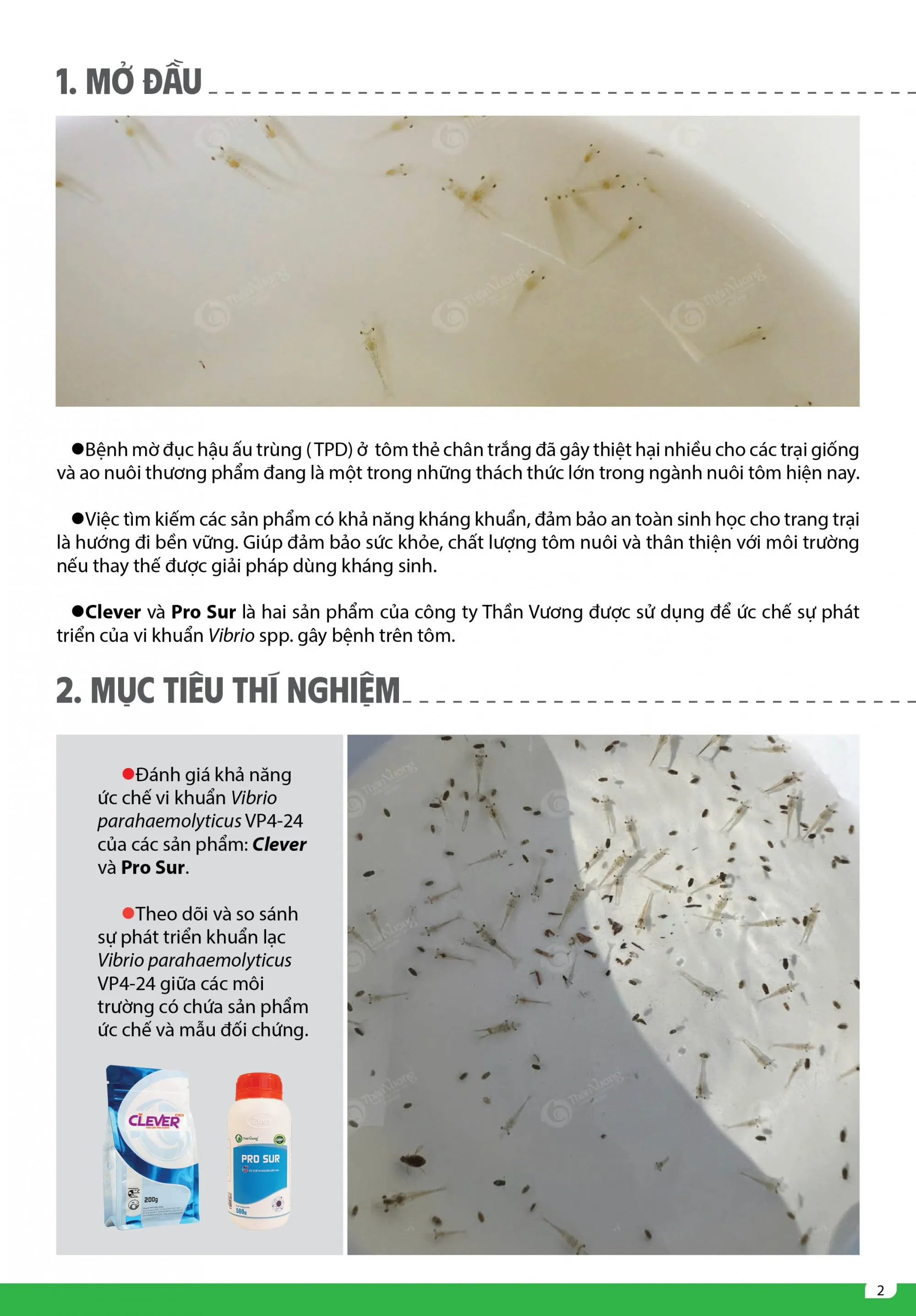 Report on Experimental Antibacterial Capacity - updated content 2_1
