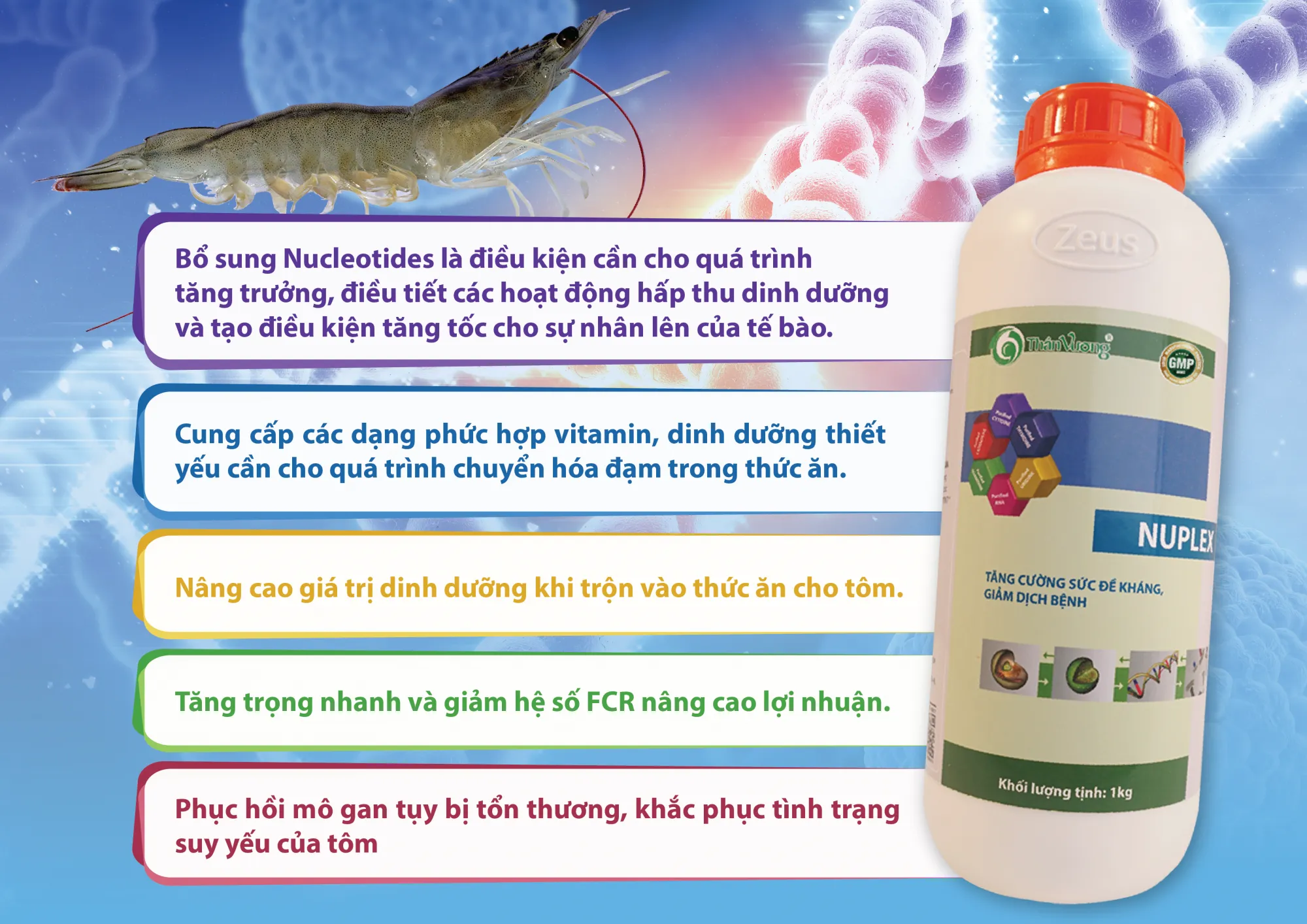 BROCHURE_NUPLEX-01