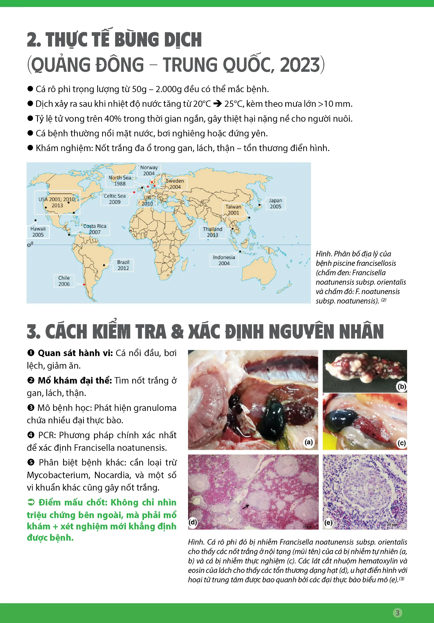 BYNH_FRANCISELLOSIS_TREN_CA_RO_PHI_Y_THACH_THYC_MYI_CHO_NGYYI_NUOI3_1