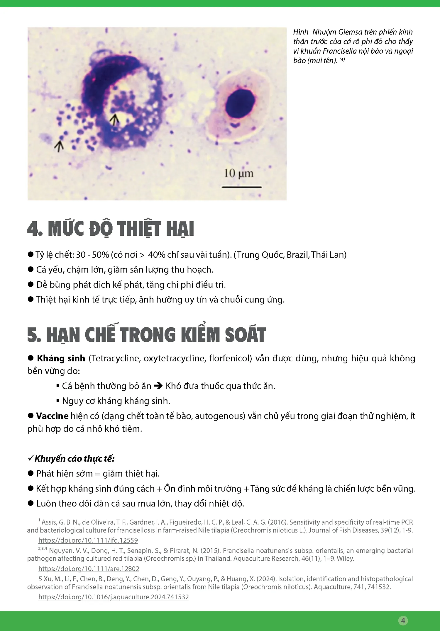 BYNH_FRANCISELLOSIS_TREN_CA_RO_PHI_Y_THACH_THYC_MYI_CHO_NGYYI_NUOI4_1