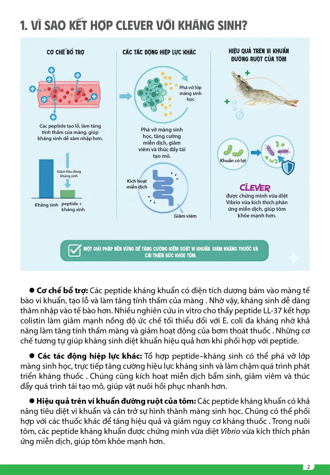Clever_dong_peptide_khang_khuYn2