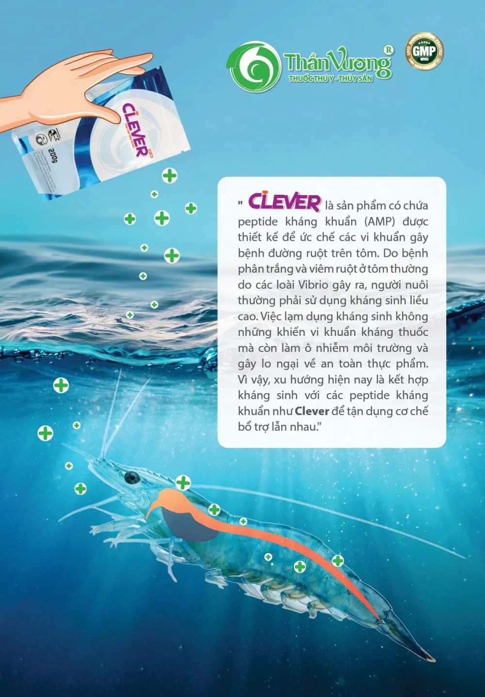 Clever_dong_peptide_khang_khuYn