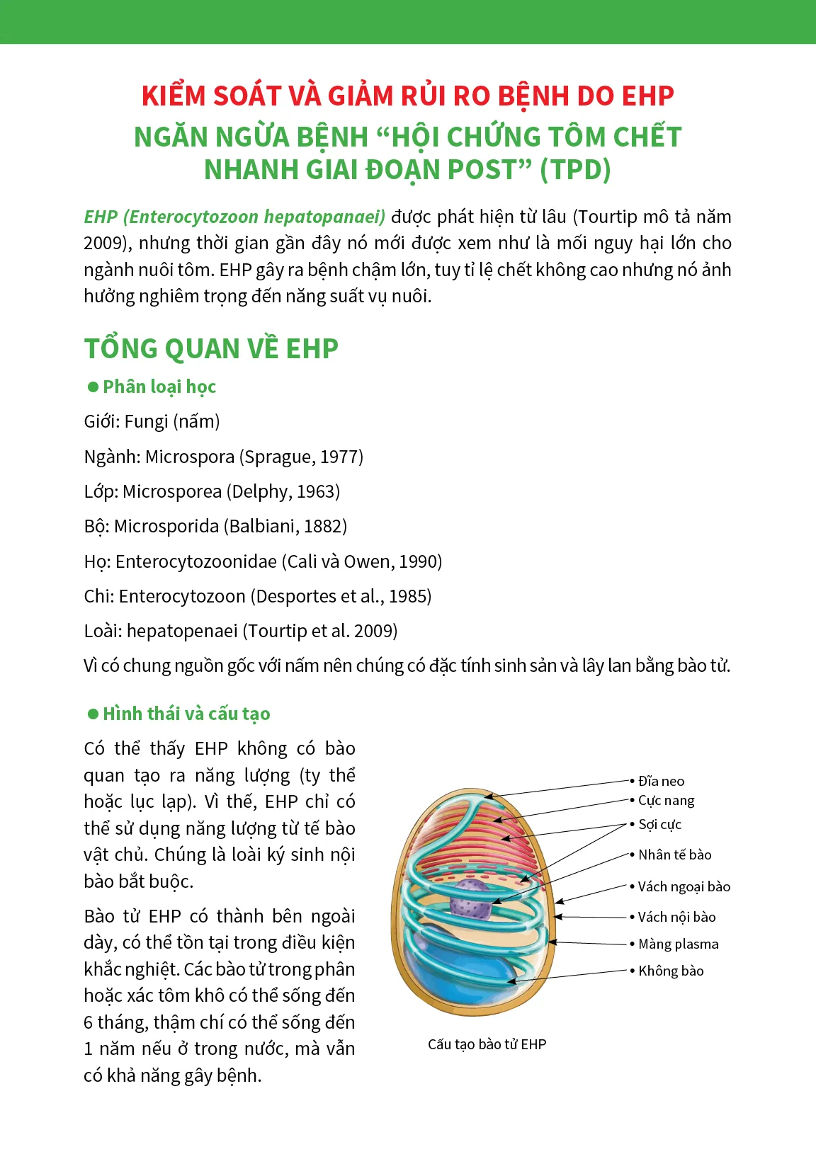 8_STEPS_TO_CONTROL_AND_REDUCE_RISK_FROM_EHP