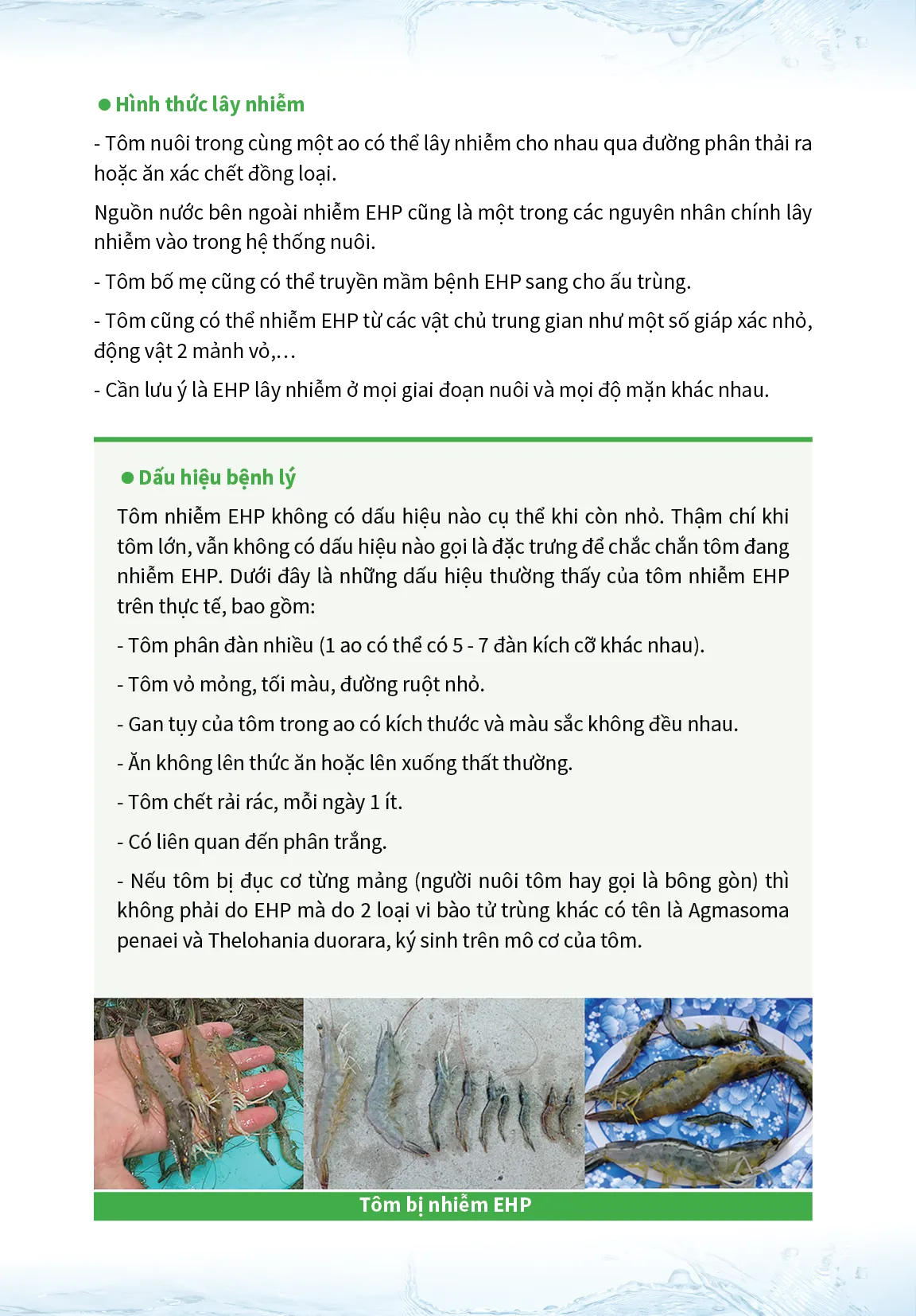 8_STEPS_TO_CONTROL_AND_REDUCE_RISK_FROM_EHP2