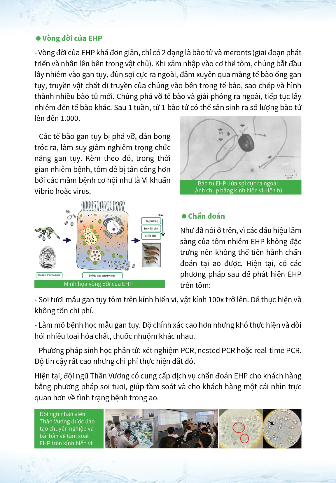 8_STEPS_TO_CONTROL_AND_REDUCE_RISK_FROM_EHP3