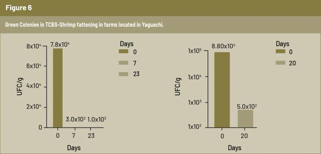 FIGURE6-1024x491