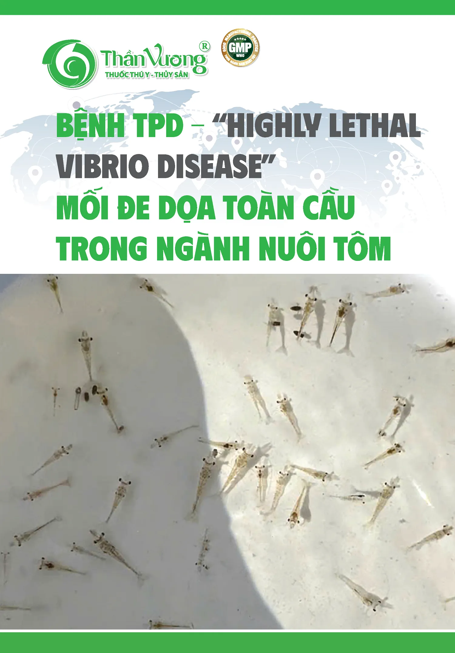 BYNH_TPD_Y_YHighly_Lethal_Vibrio_DiseaseY_cYp_nhYt