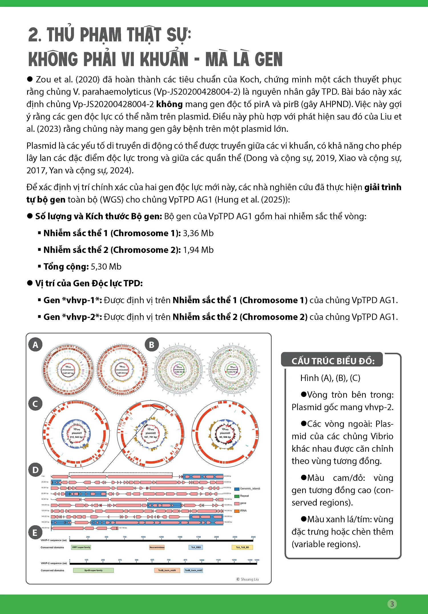 BYNH_TPD_Y_YHighly_Lethal_Vibrio_DiseaseY_cYp_nhYt3