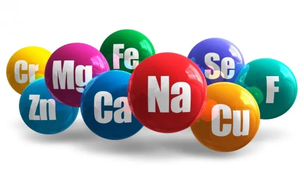 Macrominerals_Microminerals_1