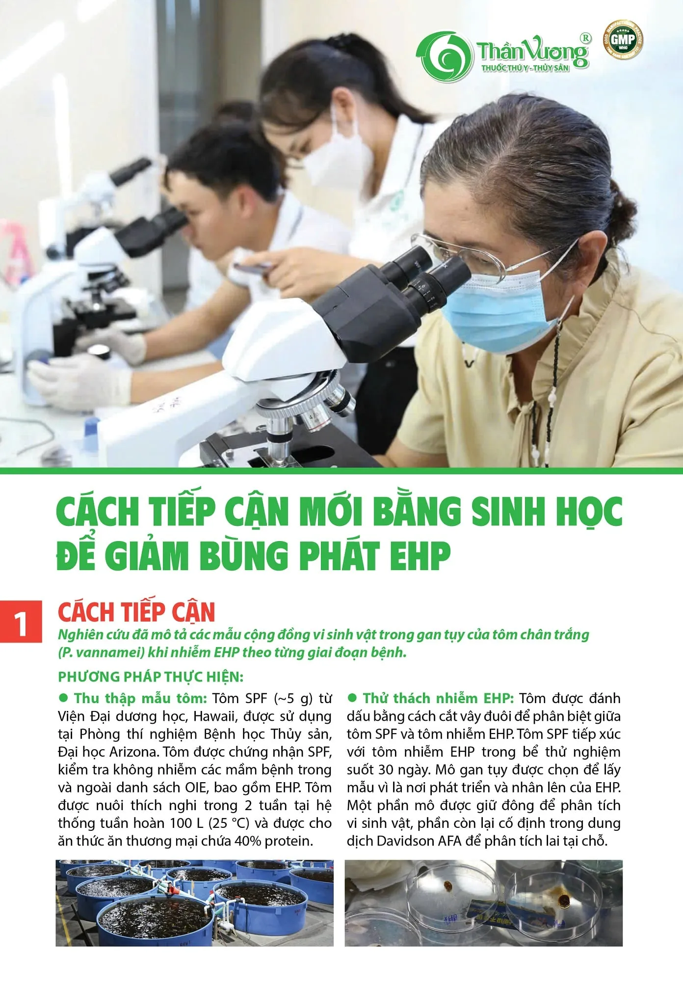 CACH_TIYP_CYN_MYI_BYNG_SINH_HYC_YY_GIYM_BUNG_PHAT_EHP_cYp_nhYt-min