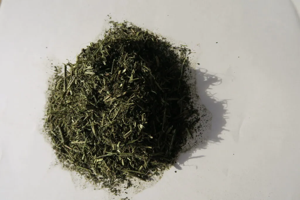 Nettle-ground-2-1024x683