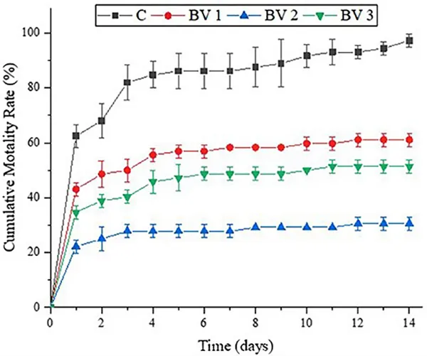 BV007_2