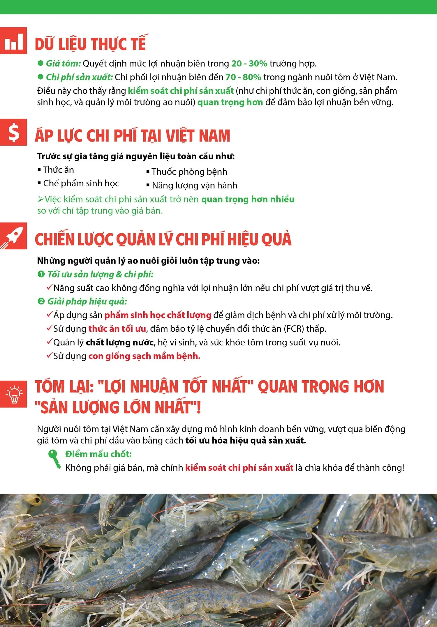 Chi_phi_nuoi_tom_so_vYi_gia_ban_YYu_tY_nao_quan_trYng_hYn2-min