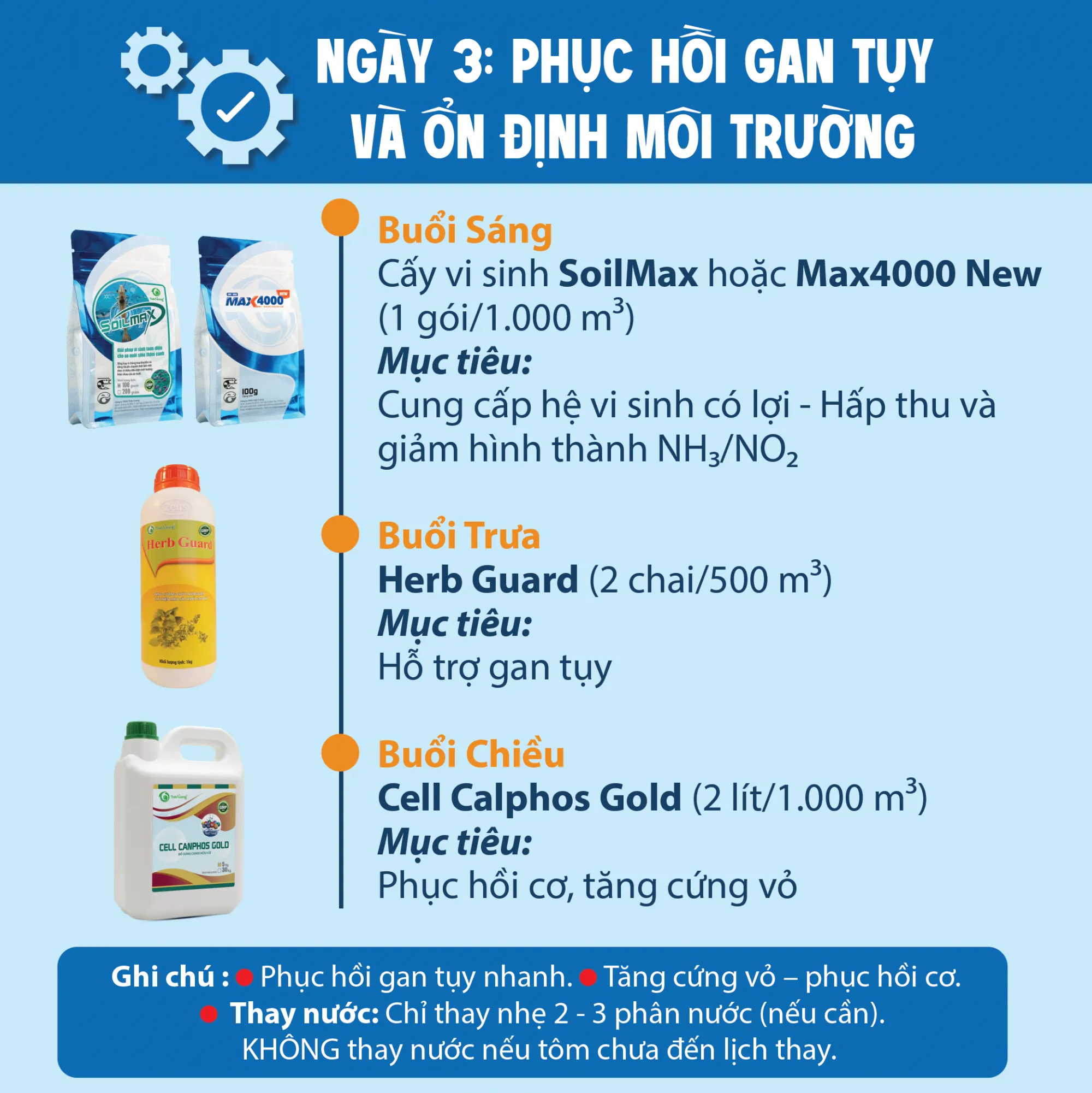 PHAC_YY_YIYU_TRY_BYNH_TPD_VA_PHYC_HYI_TOM-03