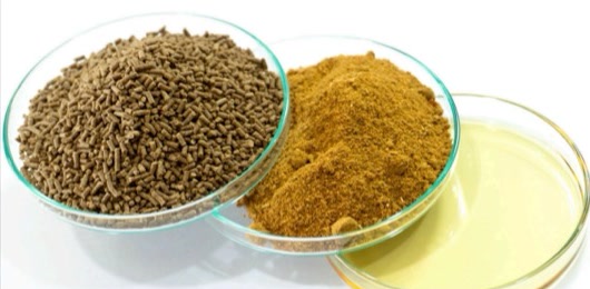 Các nguồn nguyên liệu thức ăn thay thế bột cá