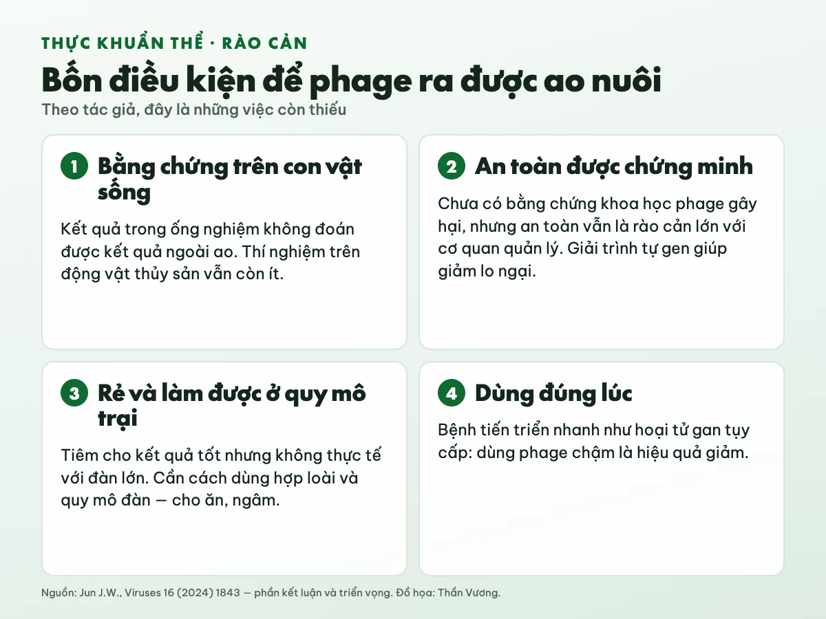 Bốn điều kiện để phage ra được ao nuôi: bằng chứng trên con vật sống; an toàn được chứng minh với cơ quan quản lý nhờ giải trình tự gen; rẻ và làm được ở quy mô trại bằng cách cho ăn hoặc ngâm; dùng đúng lúc với bệnh tiến triển nhanh như hoại tử gan tụy cấp