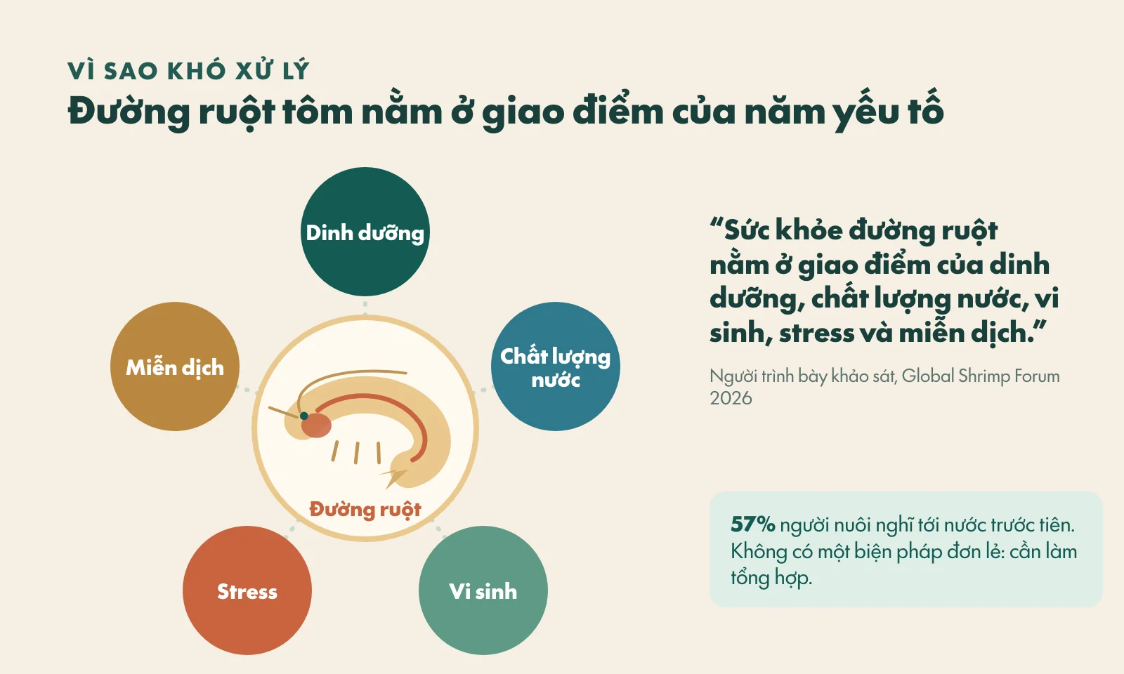 Sơ đồ đường ruột tôm ở giữa năm yếu tố dinh dưỡng, chất lượng nước, vi sinh, stress và miễn dịch