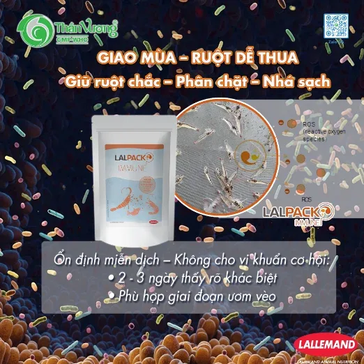 LALPACK IMMUNE — ổn định miễn dịch, giữ ruột chắc