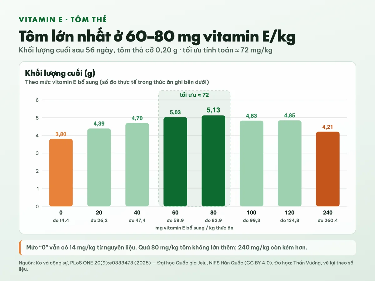 Biểu đồ khối lượng cuối của tôm thẻ sau 56 ngày theo 8 mức vitamin E trong thức ăn: 3,80 g khi không bổ sung, cao nhất 5,13 g ở 80 mg/kg, giảm còn 4,21 g ở 240 mg/kg; mức tối ưu khoảng 72 mg/kg