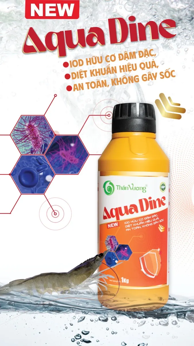 AQUA DINE — sản phẩm xử lý nước đa năng cho ao tôm
